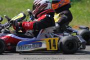 20110501_ales_agnus (2509)